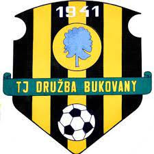 TJ Družba Bukovany